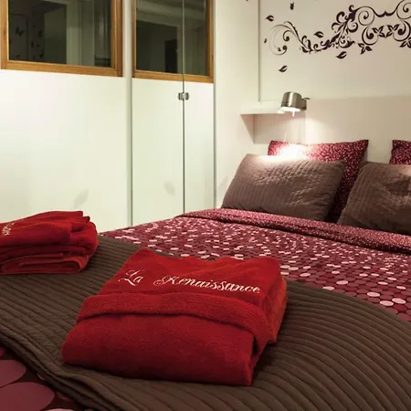 La Renaissance - Deux De Standing アパート *