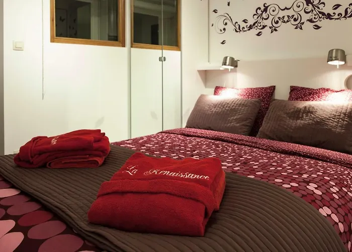 La Renaissance - Deux De Standing Appartement *